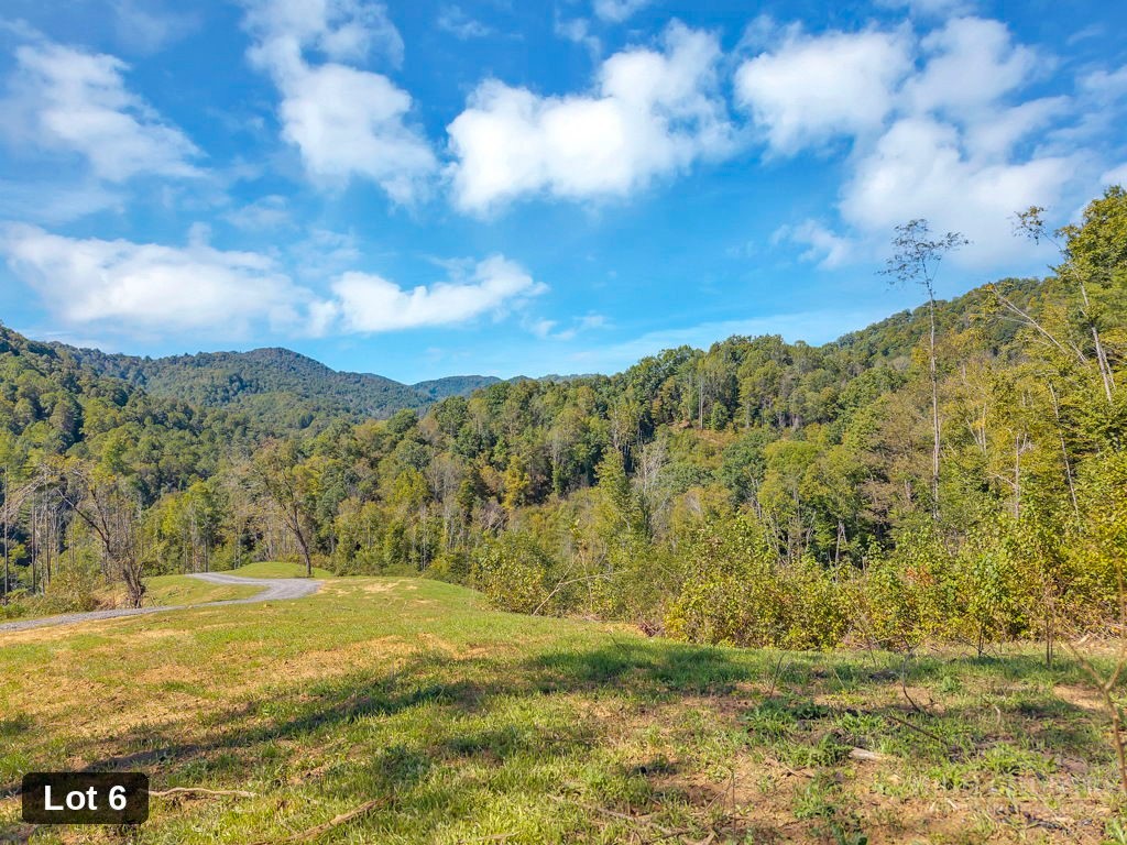 Lot 6 Horseshoe Trail Property Photo 1