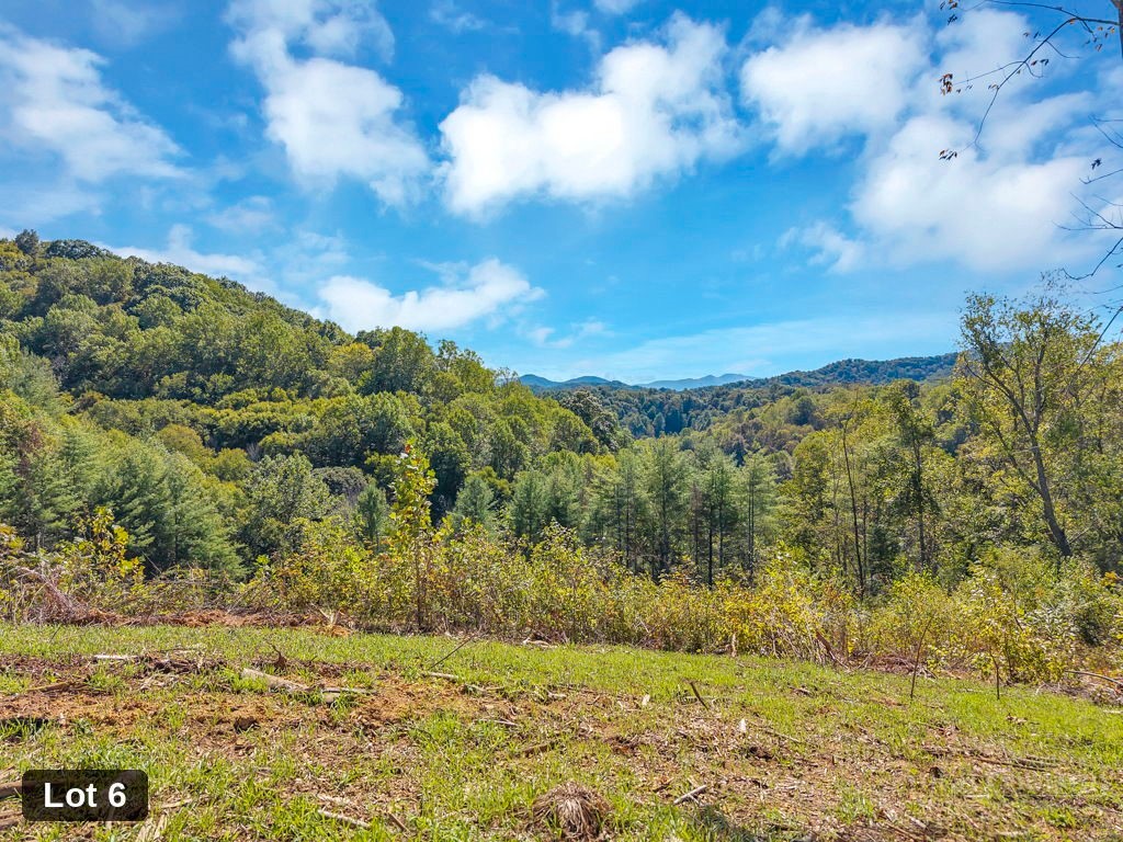 Lot 6 Horseshoe Trail Property Photo 2