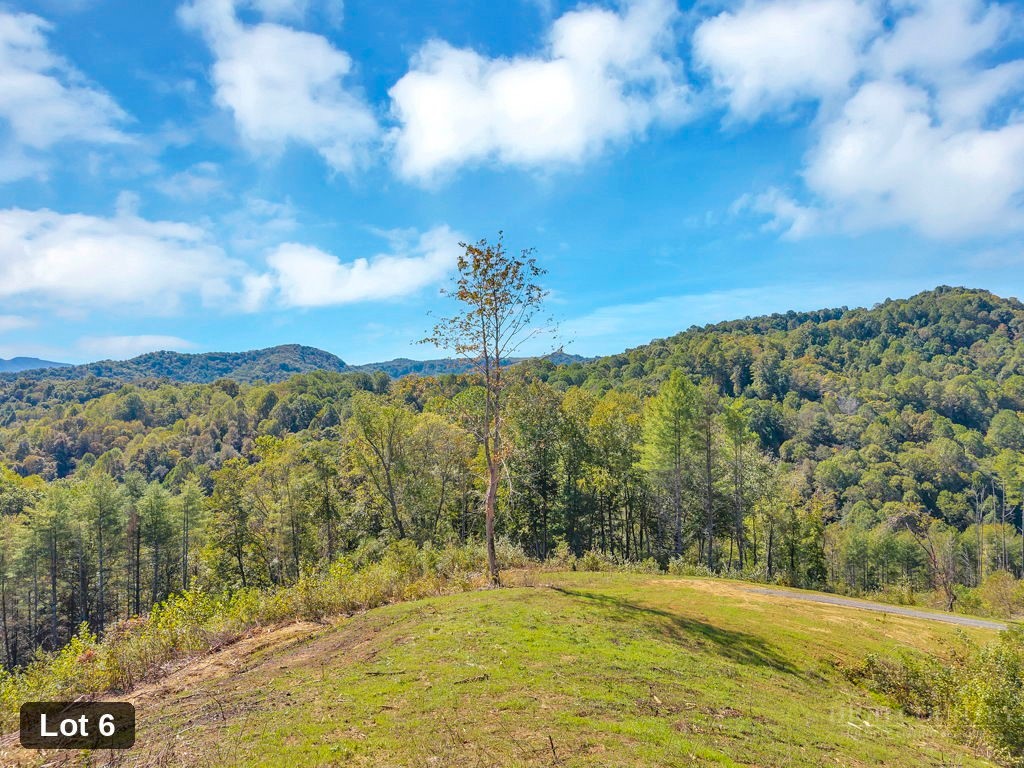 Lot 6 Horseshoe Trail Property Photo 5