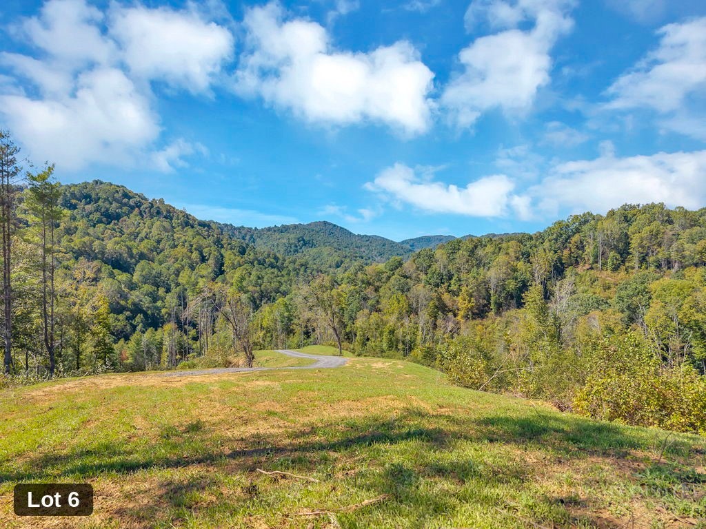Lot 6 Horseshoe Trail Property Photo 6