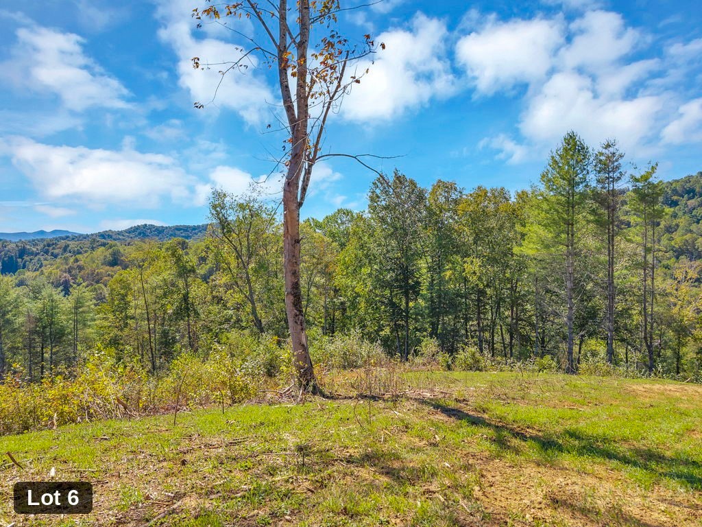 Lot 6 Horseshoe Trail Property Photo 7