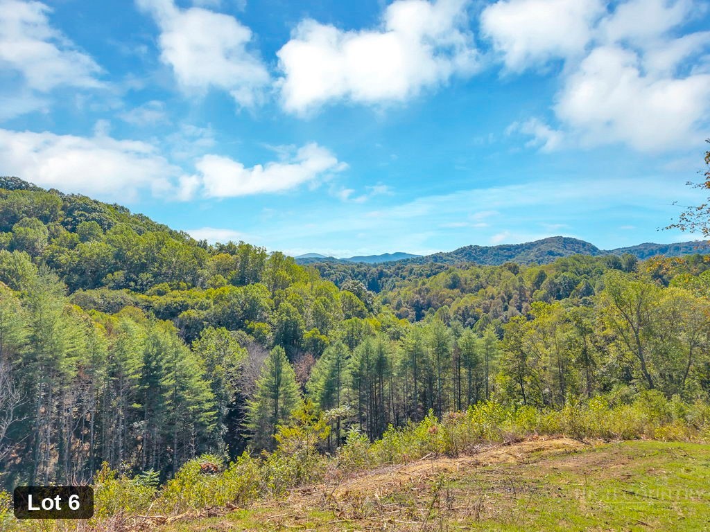 Lot 6 Horseshoe Trail Property Photo 8