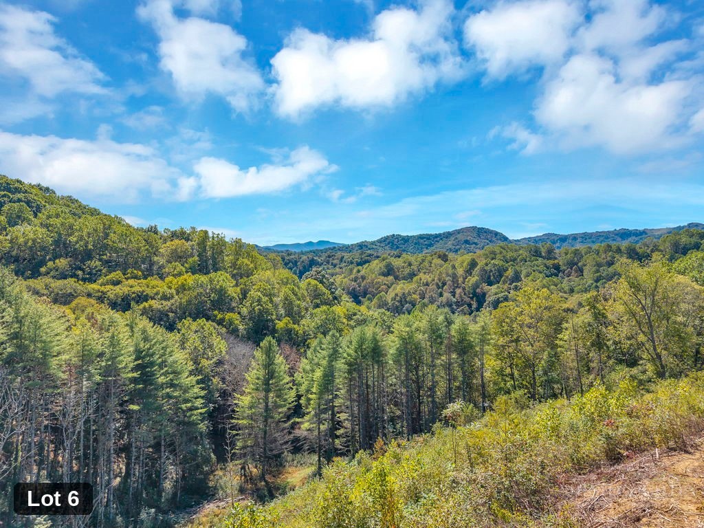 Lot 6 Horseshoe Trail Property Photo 9