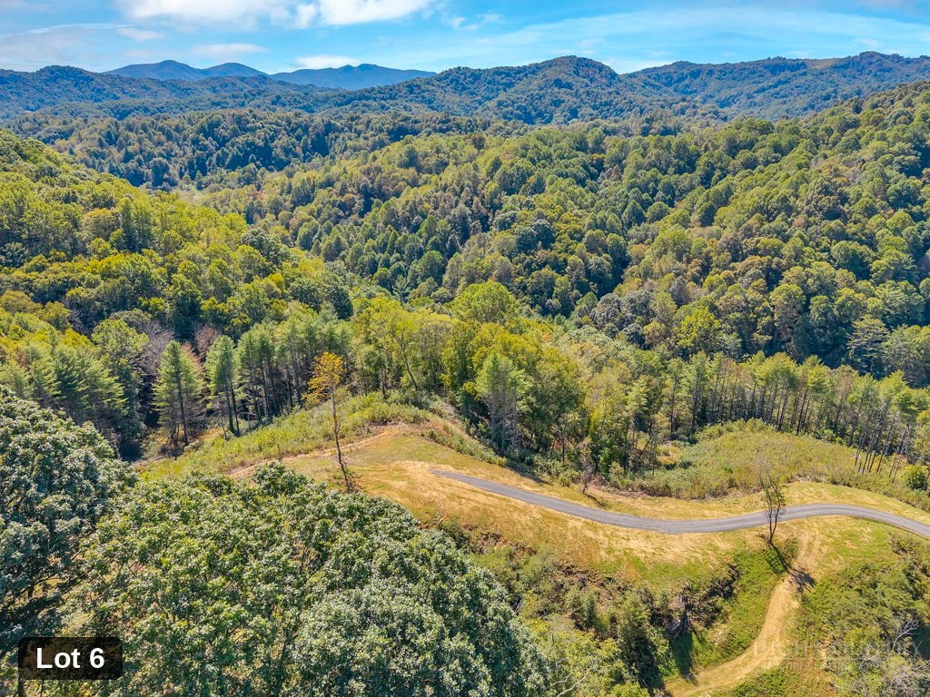 Lot 6 Horseshoe Trail Property Photo 10
