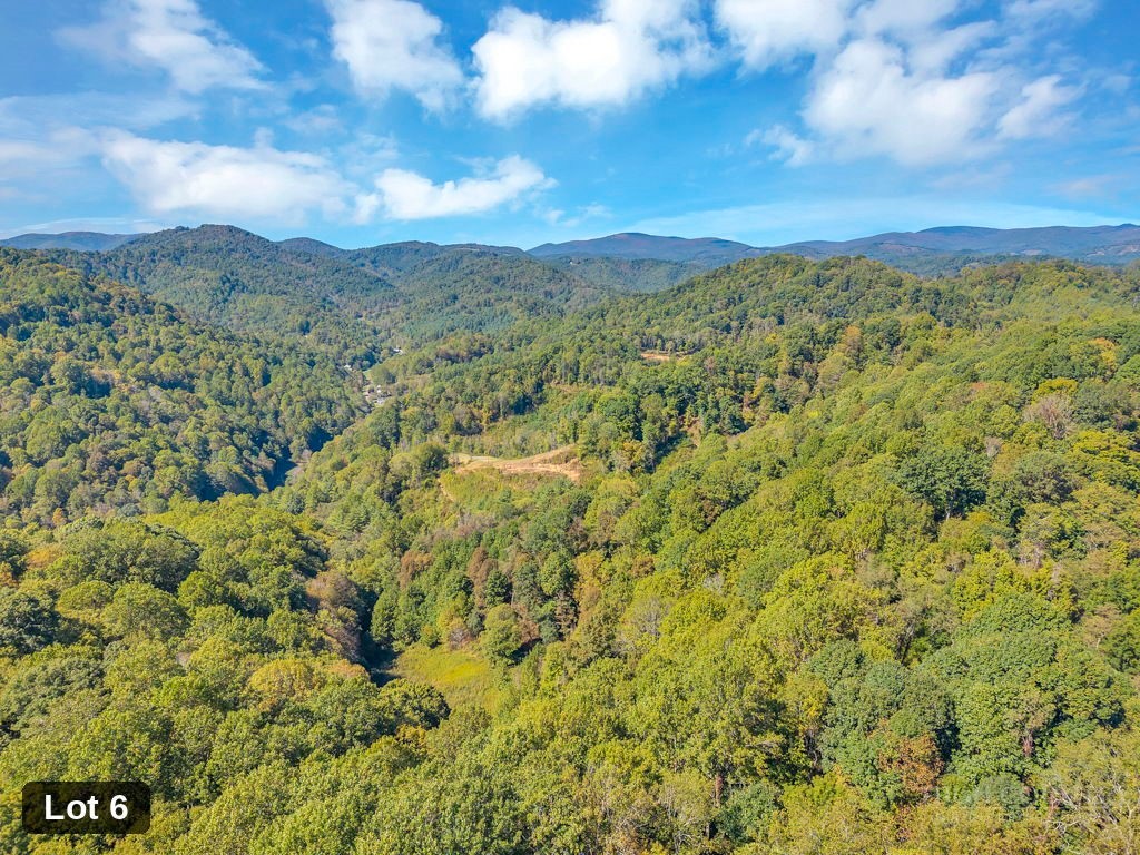 Lot 6 Horseshoe Trail Property Photo 15