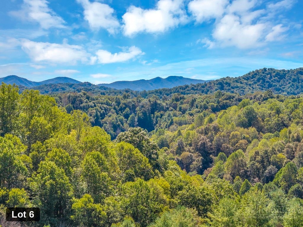 Lot 6 Horseshoe Trail Property Photo 18