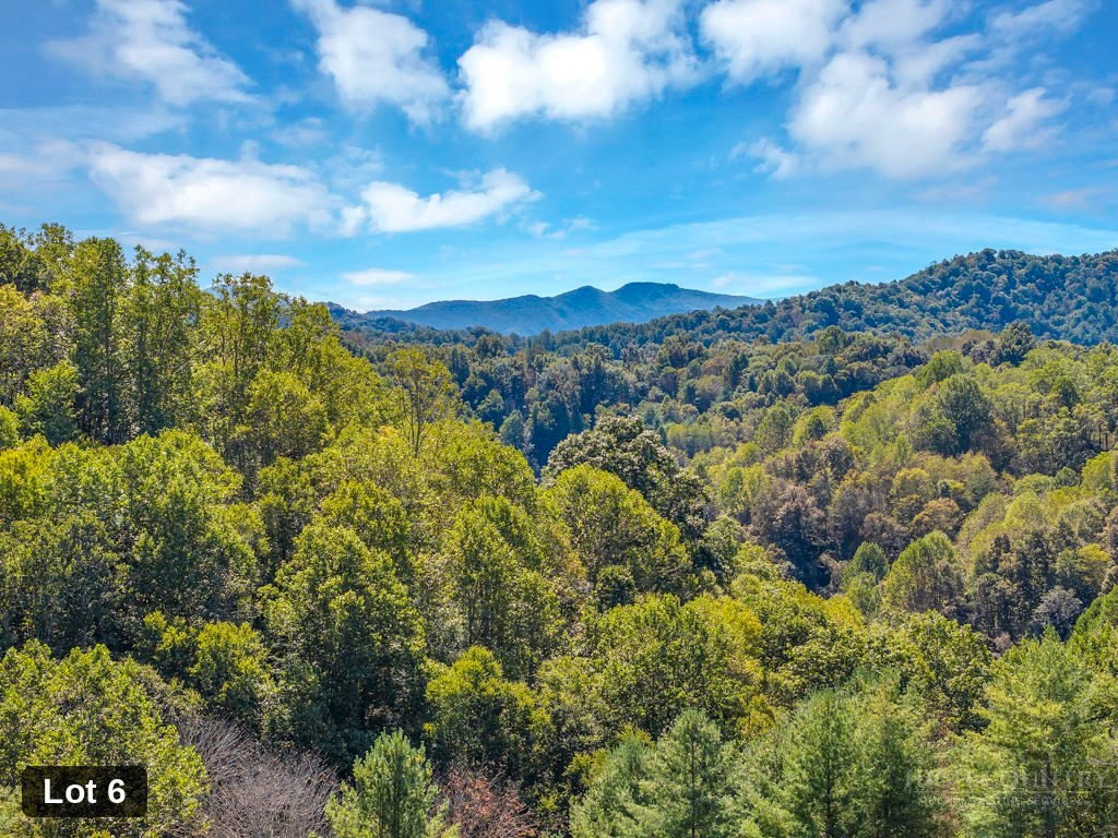 Lot 6 Horseshoe Trail Property Photo 19