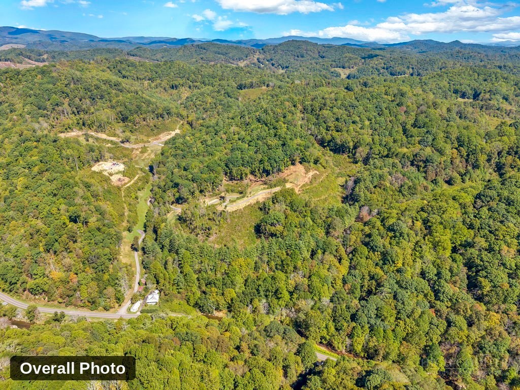Lot 6 Horseshoe Trail Property Photo 21