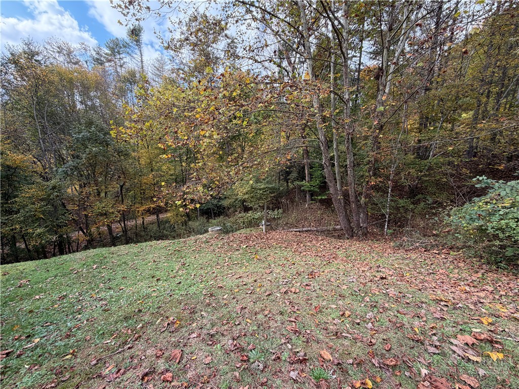 183 E Weaver Ford Road Property Photo 34