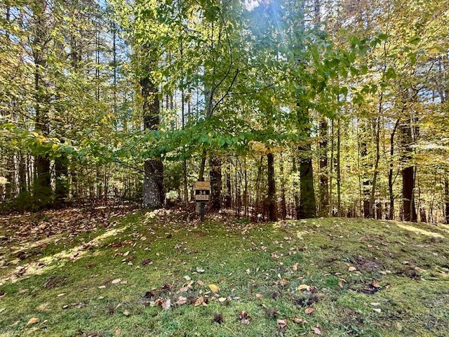 Lot 33 Woodland Valley Road Property Photo 2