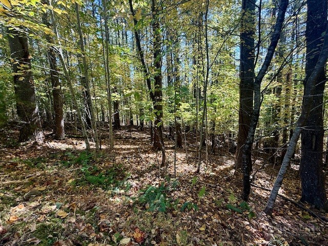 Lot 33 Woodland Valley Road Property Photo 3