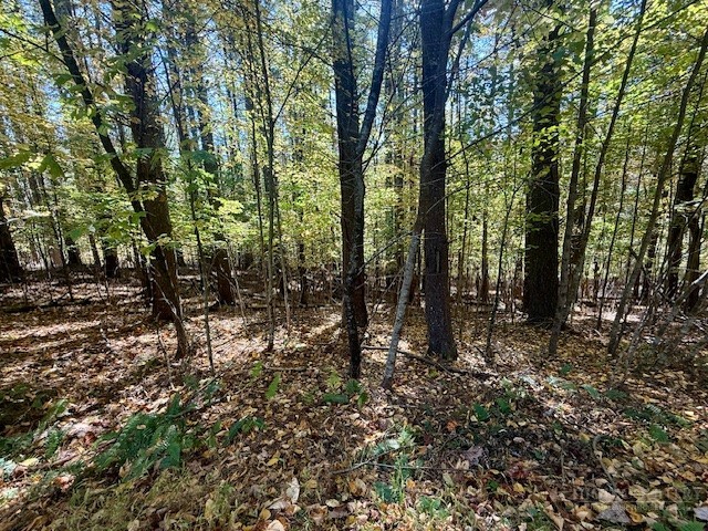 Lot 33 Woodland Valley Road Property Photo 4