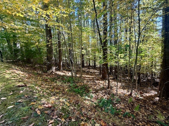 Lot 33 Woodland Valley Road Property Photo 5
