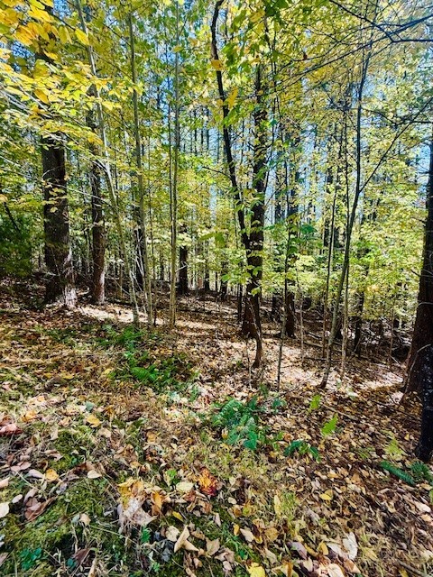 Lot 33 Woodland Valley Road Property Photo 6