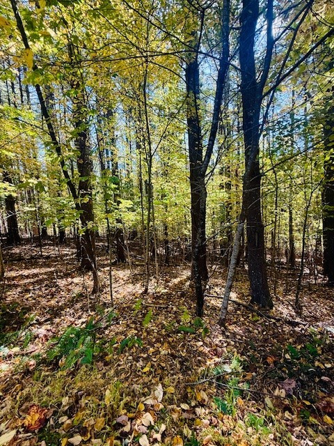 Lot 33 Woodland Valley Road Property Photo 7