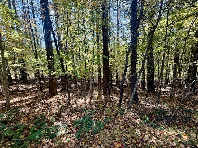 Lot 33 Woodland Valley Road Property Photo 9