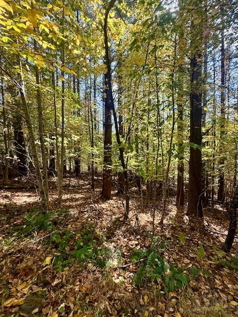 Lot 33 Woodland Valley Road Property Photo 10