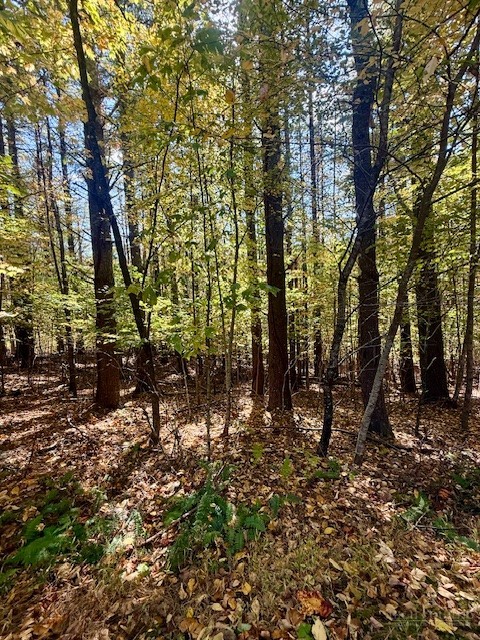 Lot 33 Woodland Valley Road Property Photo 11