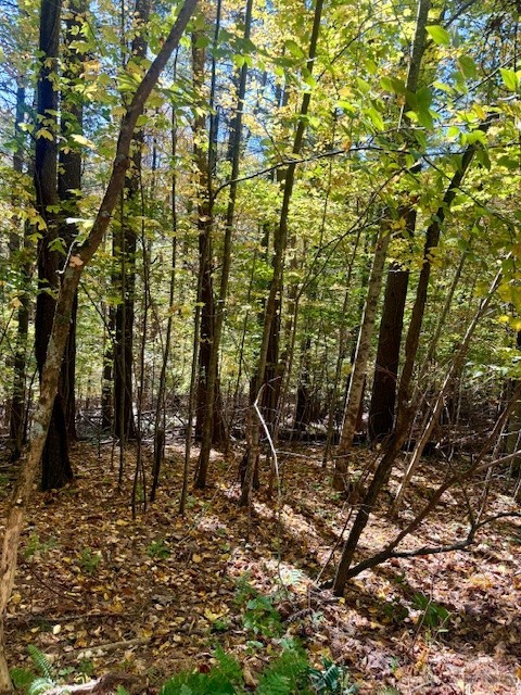 Lot 33 Woodland Valley Road Property Photo 13