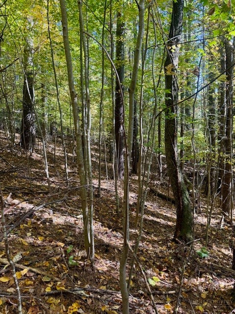 Lot 33 Woodland Valley Road Property Photo 15