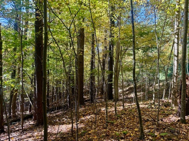 Lot 33 Woodland Valley Road Property Photo 16