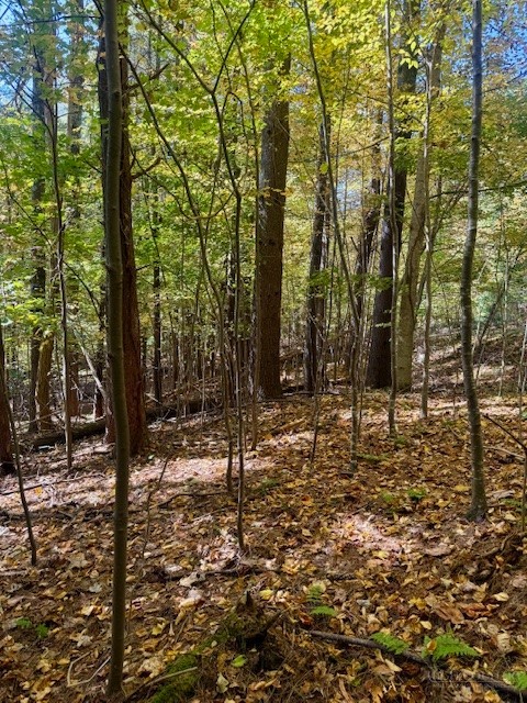 Lot 33 Woodland Valley Road Property Photo 17