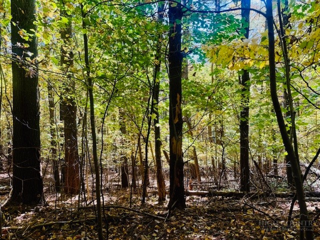 Lot 33 Woodland Valley Road Property Photo 18