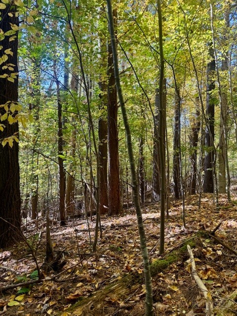Lot 33 Woodland Valley Road Property Photo 19