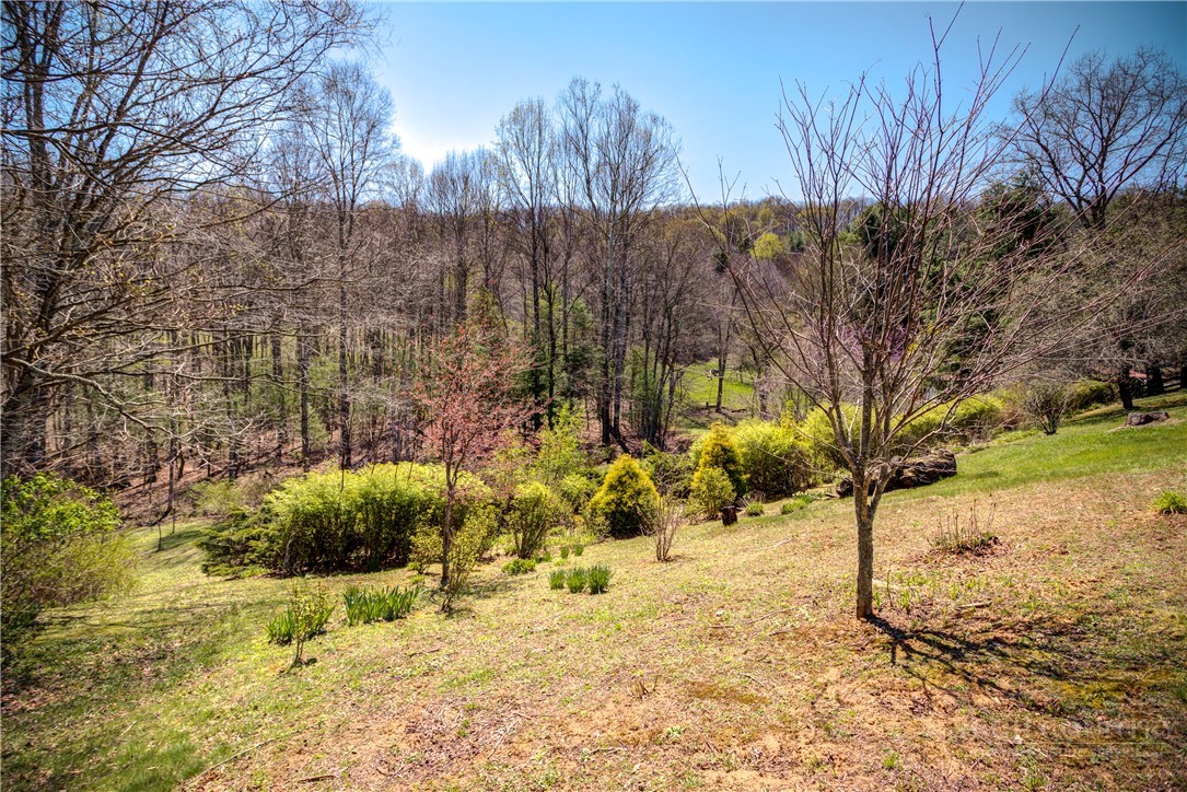 2081 Bakers Ridge Road Property Photo 12
