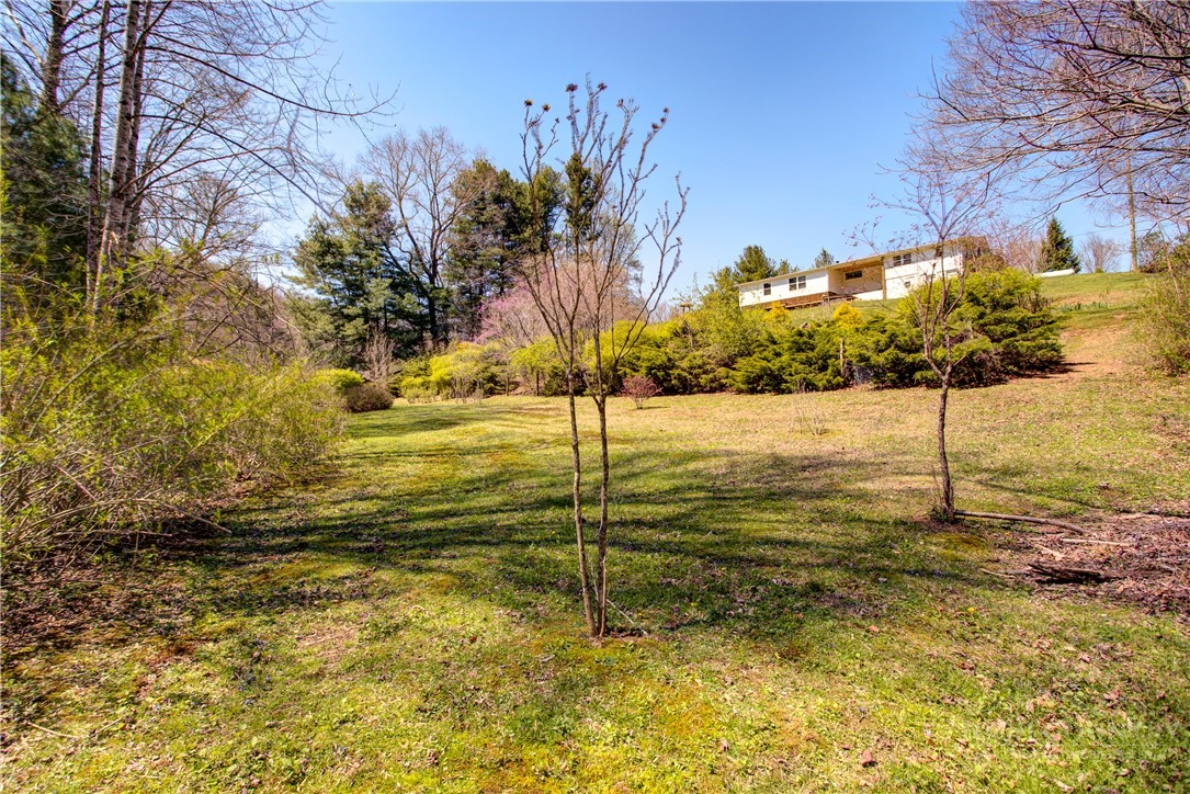 2081 Bakers Ridge Road Property Photo 13