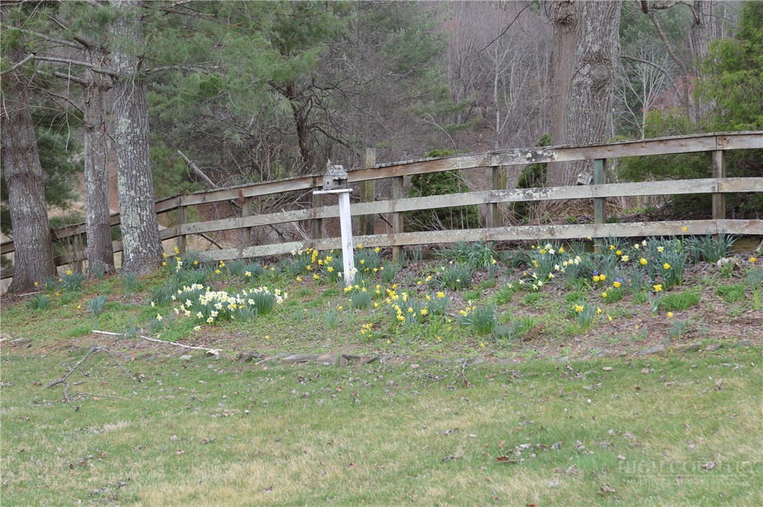 2081 Bakers Ridge Road Property Photo 47
