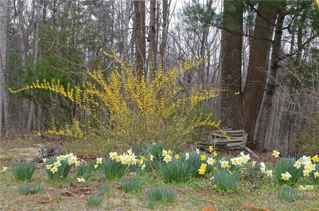 2081 Bakers Ridge Road Property Photo 48
