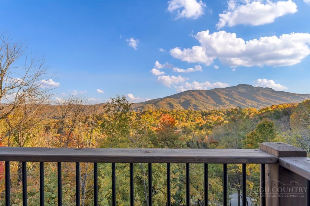 808 Chestnut Ridge Trail Property Photo 44