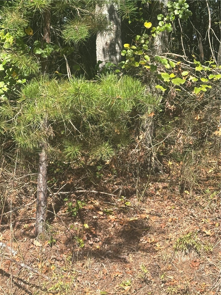 Lot 6 Saint Andrews Drive Property Photo 1