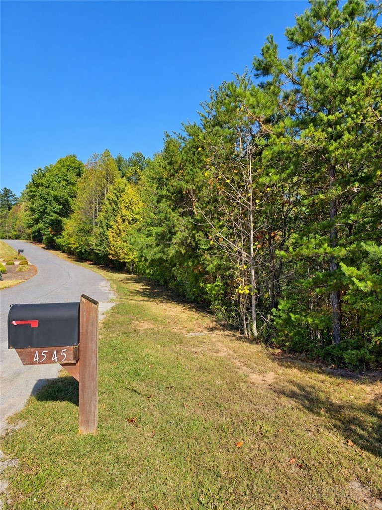 4545 Walnut Ridge Drive Property Photo 29