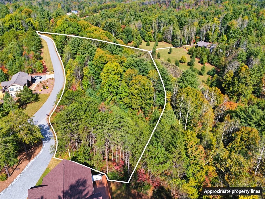 4545 Walnut Ridge Drive Property Photo 32