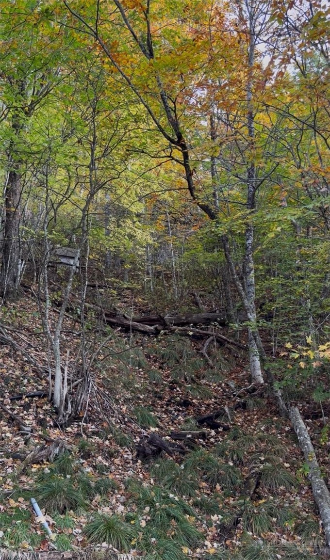 Tbd Wakeman Way Property Photo 3