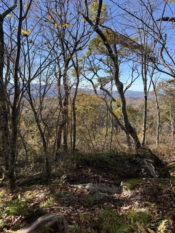 Lot #44 Summit Trail Property Photo 1