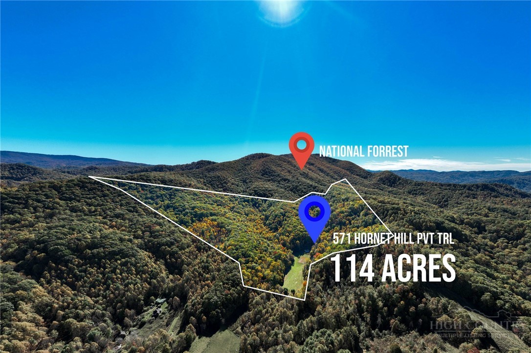 571 Hornet Hill Pvt Trail Property Photo 1