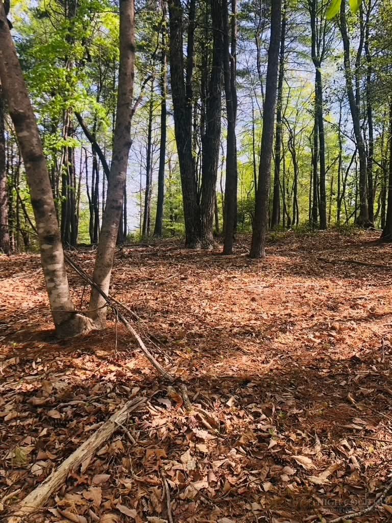 Lot 7 Gold Run Drive Property Photo 1