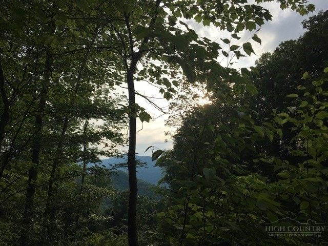 Lot 18 Jackson Ridge Road Property Photo