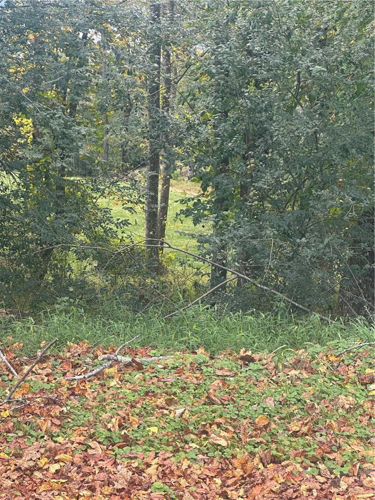Lot 122 Friar Court Property Photo 1