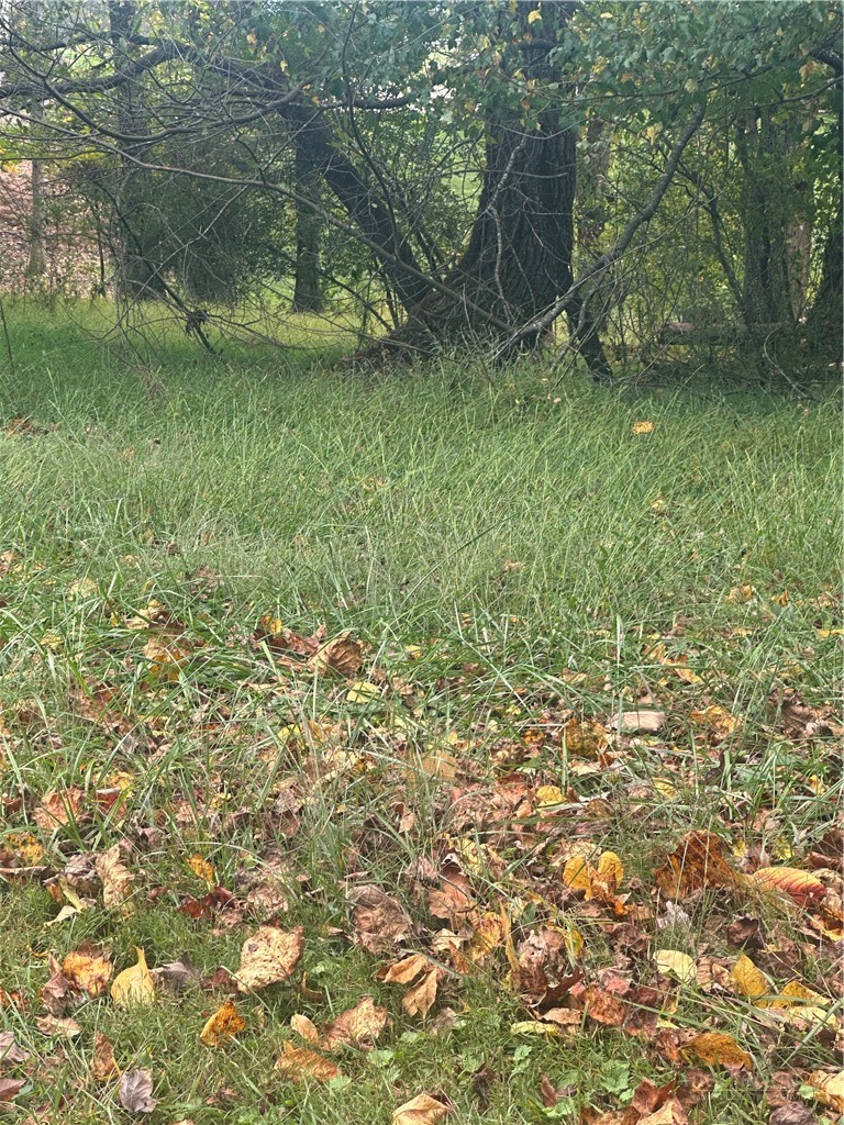 Lot 121 Friar Court Property Photo 1