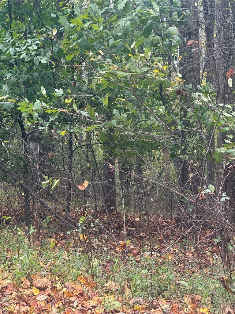 Lot 120 Friar Court Property Photo 2