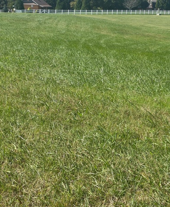 Lot 301 Canterbury Drive Property Photo 2