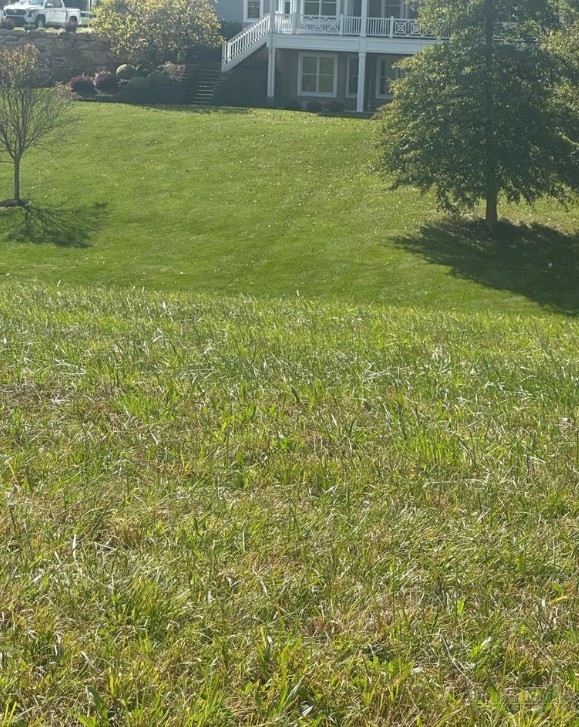 Lot 219 Canterbury Drive Property Photo 1