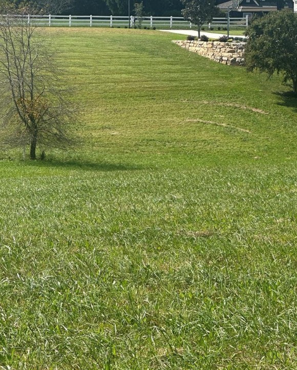 Lot 221 Canterbury Drive Property Photo 1