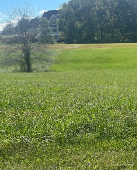 Lot 205 Canterbury Drive Property Photo 1