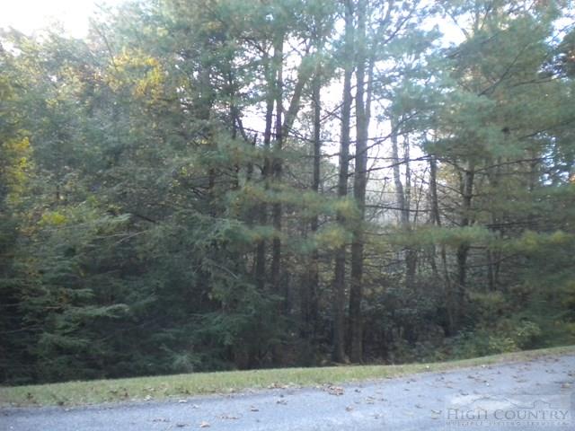 Lot 1 Pine Chase Property Photo 1