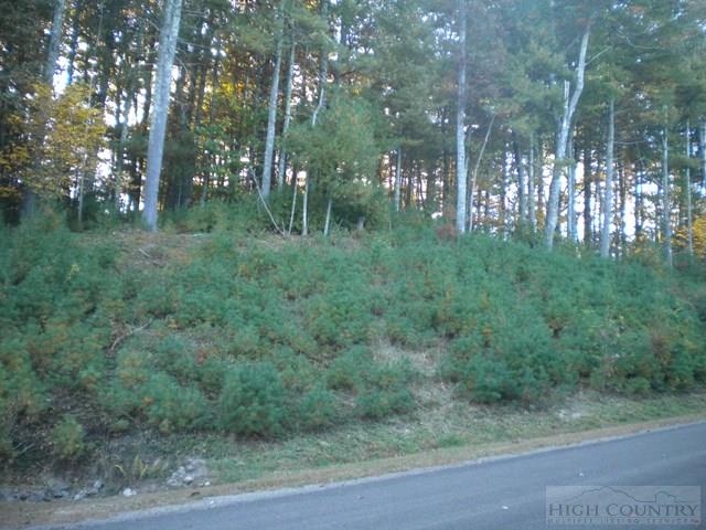 Lot 3 Pine Chase Property Photo 1